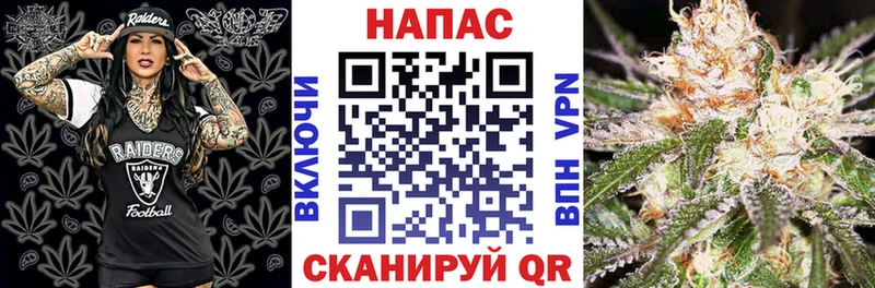 Шишки марихуана Amnesia  Купить где  Маркс 